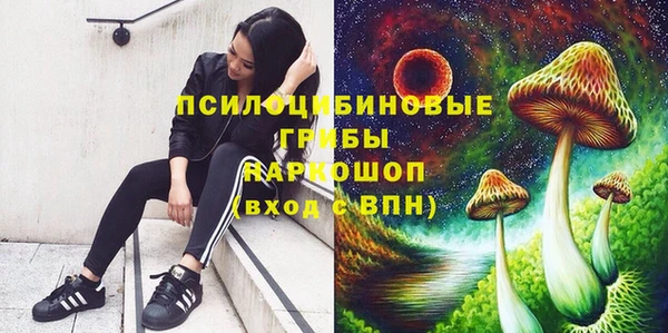 амф Алексин