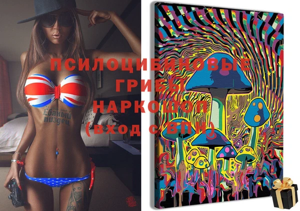 трава Абинск