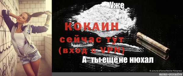 амф Алексин