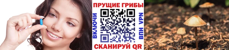где можно купить   Комсомольск-на-Амуре  сайты даркнета формула  Псилоцибиновые грибы мухоморы 